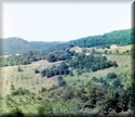 10061v.jpg