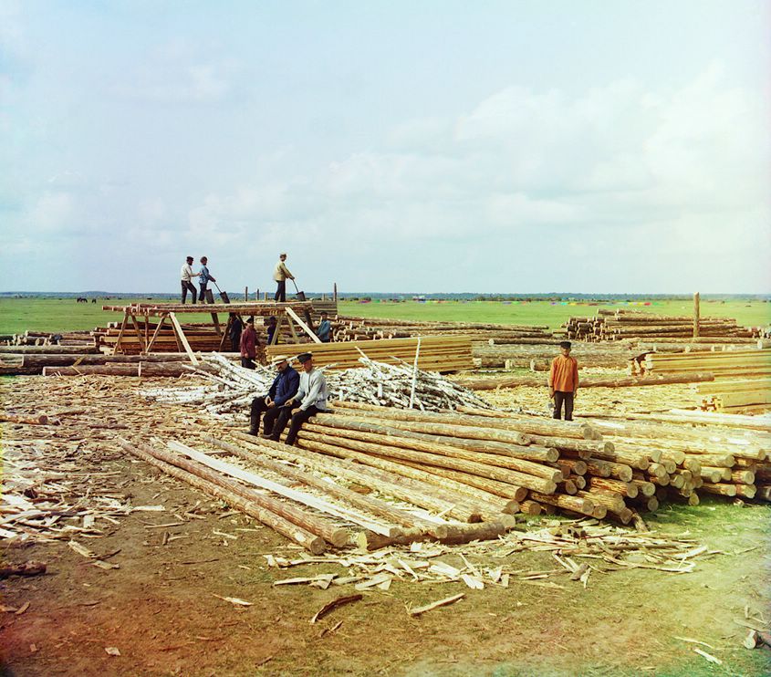 11454v.jpg
