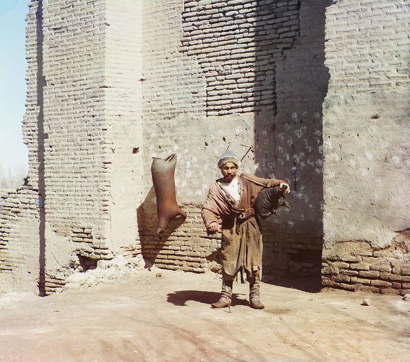 11730v.jpg