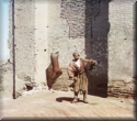 11730v.jpg